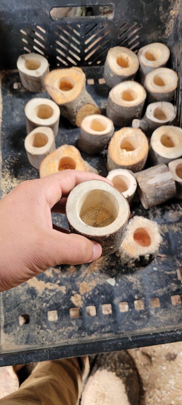 Maceteros o porta velas