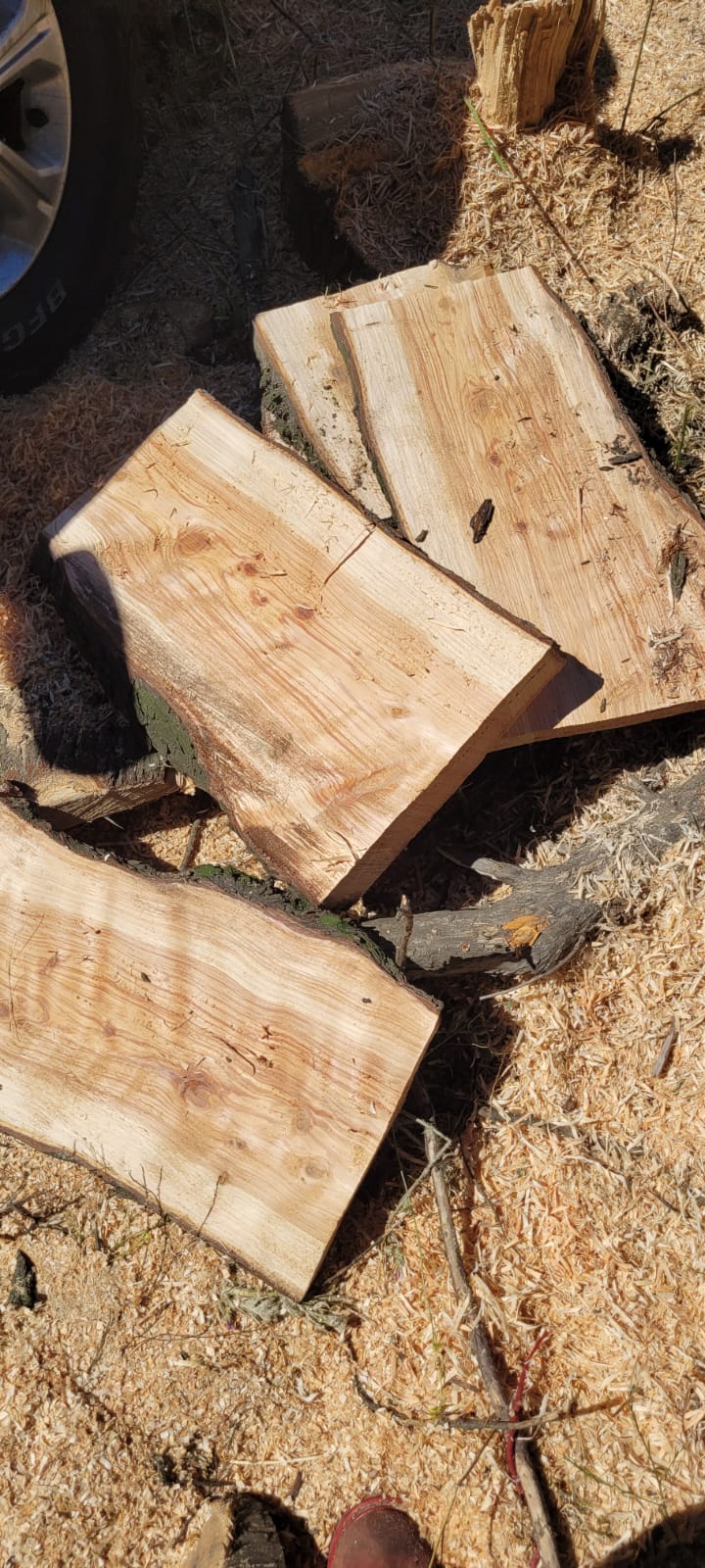 Listones de madera