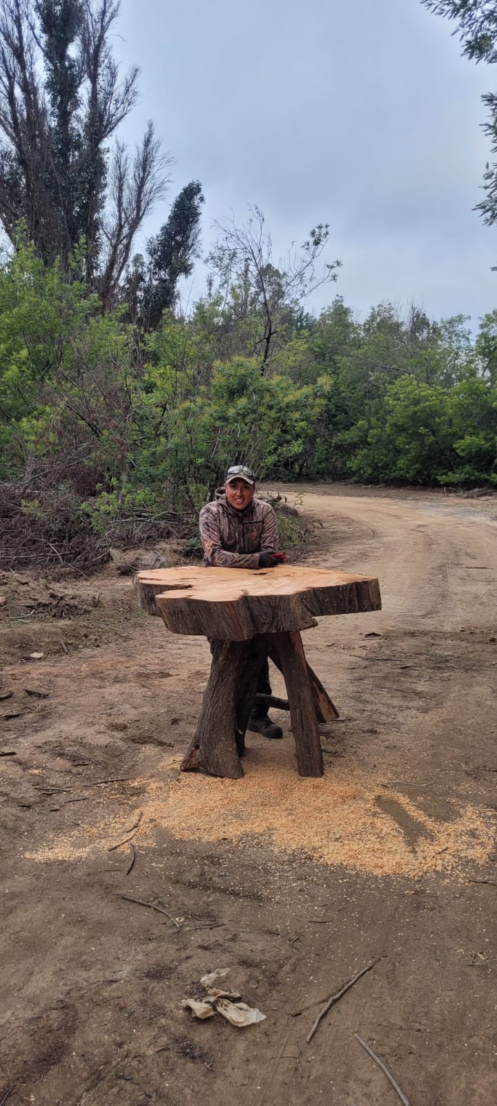 Mira esta increible mesa